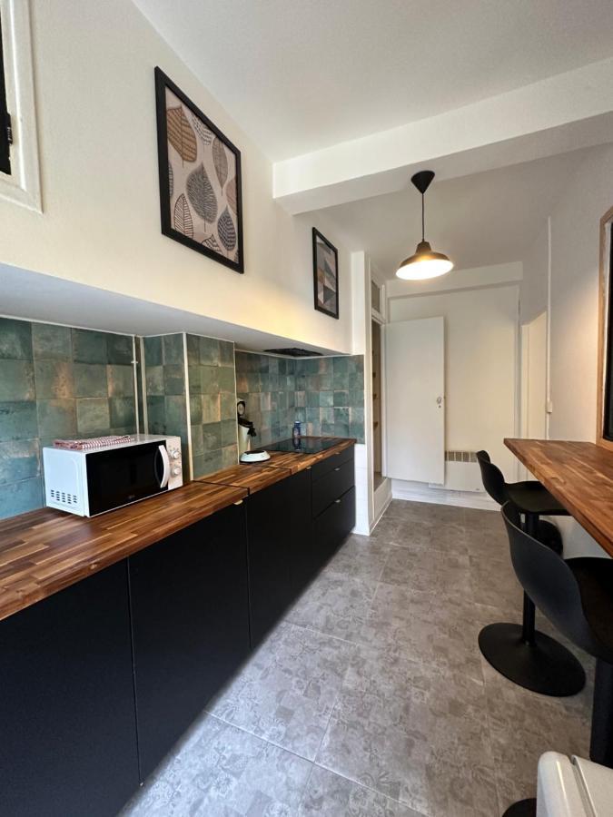 Appartement Minervoise - Gare Carcassonne Zewnętrze zdjęcie